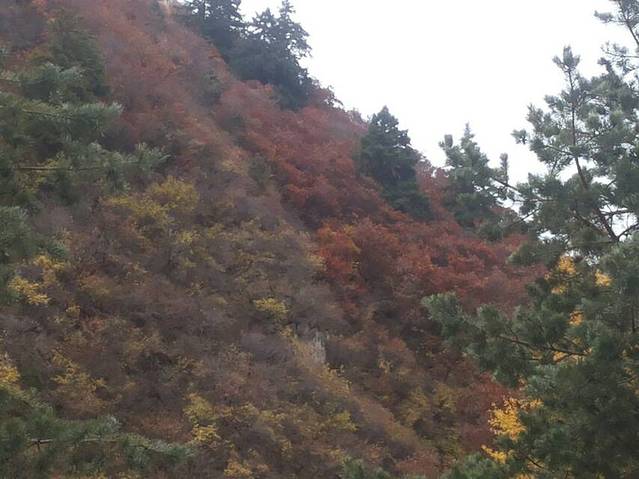 引大入秦水利灌溉农业旅游区