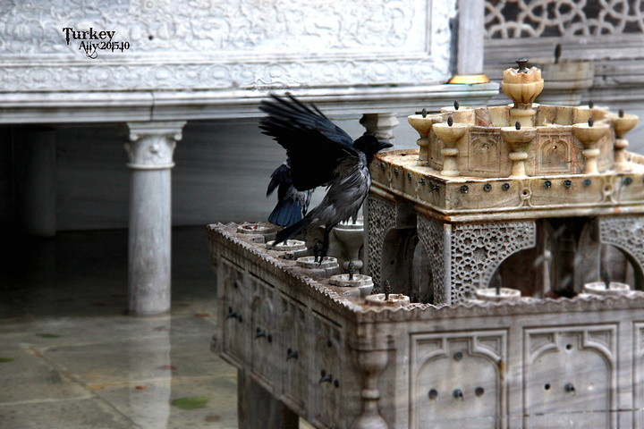 2017美丽的瓷砖和彩色玻璃窗。皇宫的后花园