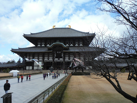东大寺tōdai-ji