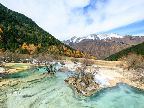 盆景池旅游景点图片