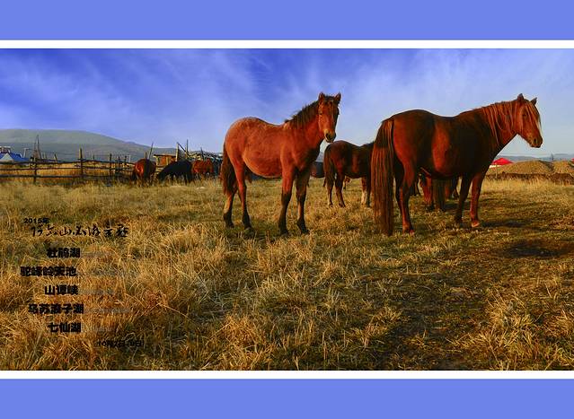 双台河口自然保护区