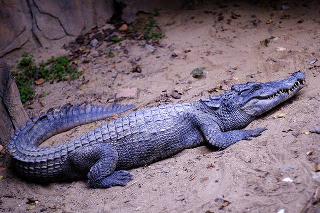 长鹿旅游休博园