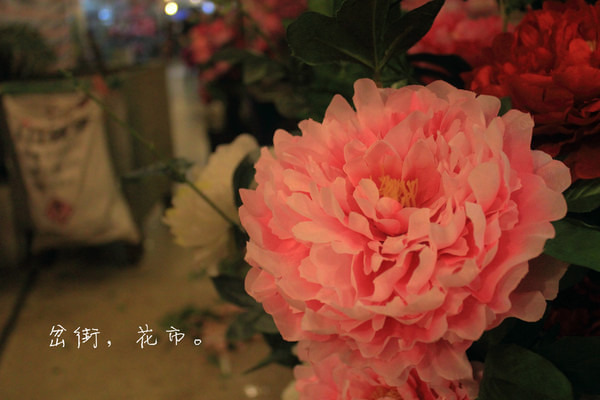 岔街一号花卉市场