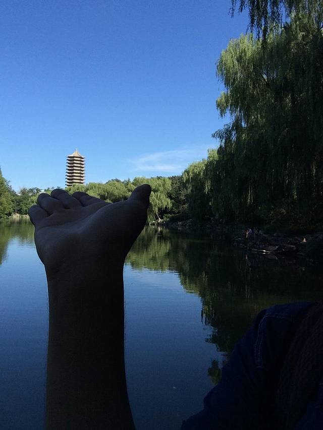 赫赫京都千百年,钟灵毓秀萃龙渊