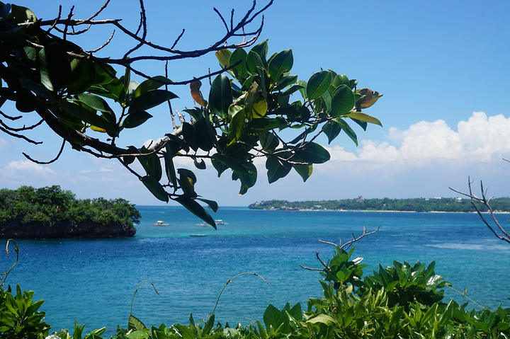 "_水晶岛"的评论图片