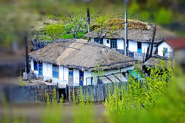 翘望宫穹之下的东北