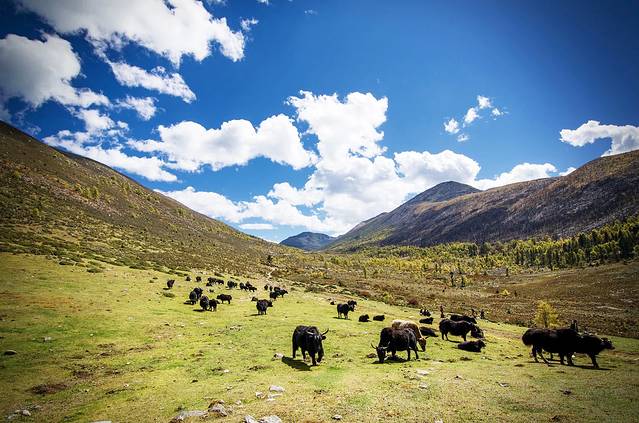 康定情歌(木格措)景区