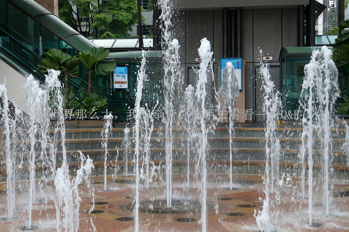 2017新加坡不亏是花园城市,到处都是绿色。小