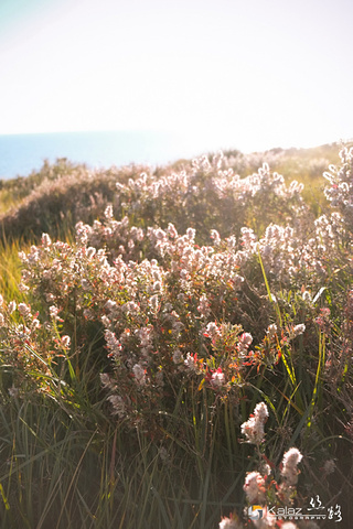 一记排山倒海,结束了鸟岛的行程,赶赴青海湖的