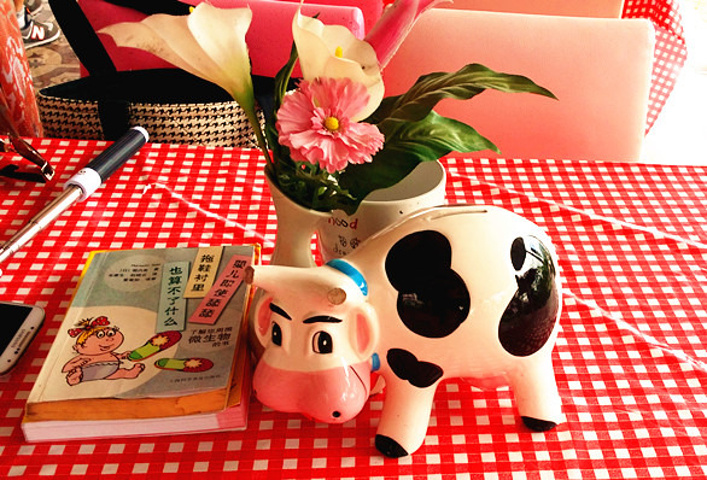 2017司机小哥超级帅,中文和英文都不会讲,只会