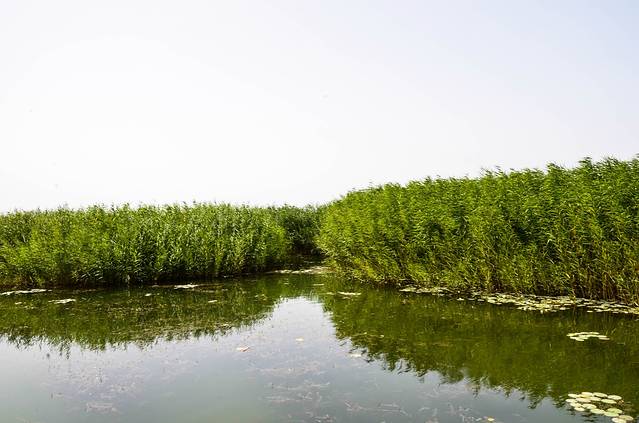 博斯腾湖南岸景区