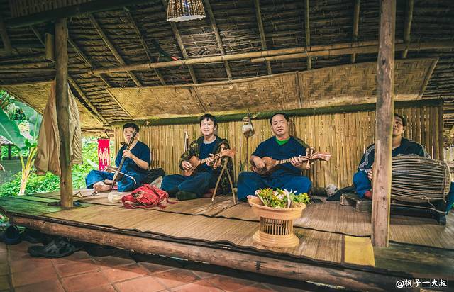 飞翔的长臂猿丛林飞跃