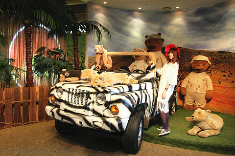 泰迪熊野生动物国旅游景点攻略图