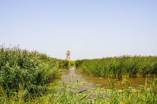 博斯腾湖南岸景区