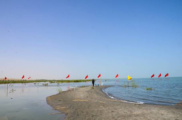 博斯腾湖南岸景区