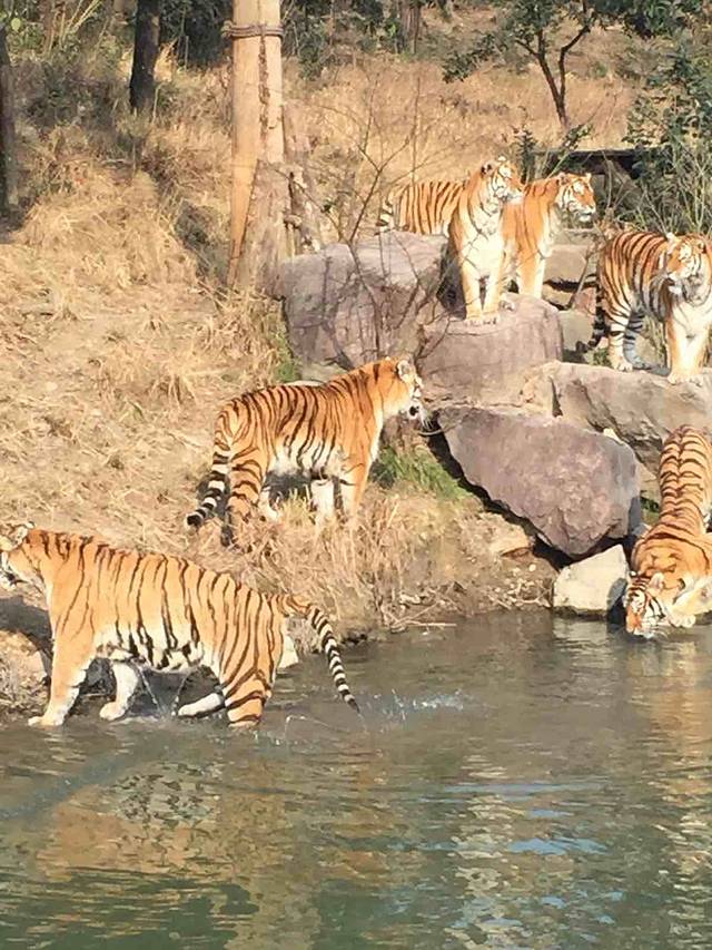 宁波野生动物园
