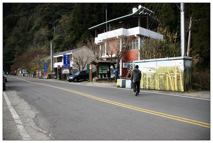 阿里山特富野古道