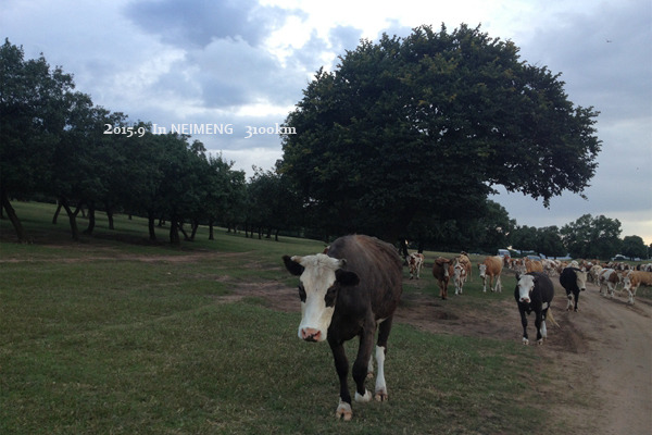 公路之歌最美的风景在路上