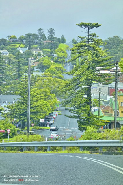 瞧这大斜坡,我感觉在国内一般不喜欢街道有这么大的坡度,要么改造,要
