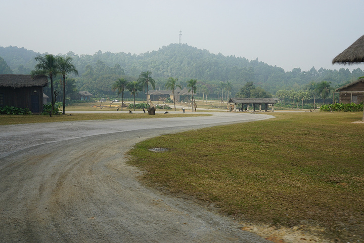 以做到非常紧凑充实_长隆野生动物世界评论 -