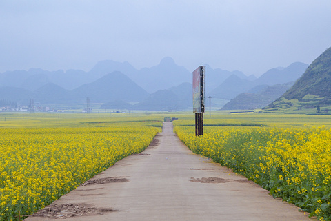 罗平旅游景点攻略图