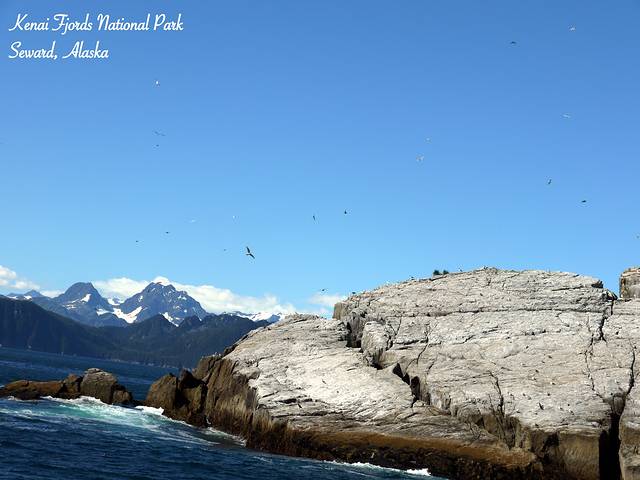基奈峡湾国家公园