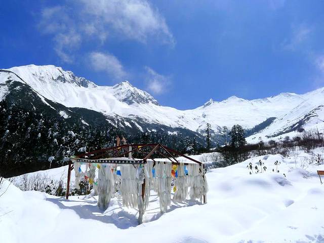 海螺沟冰川森林公园四号营地