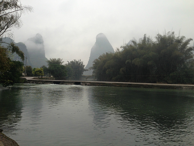 .大榕树下抛绣球喜结良缘,使大榕树更充满美丽