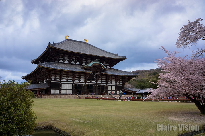"是世界上最大的木建筑，由圣武天皇为了祀奉大佛（毗卢遮那佛），并作为日本各地的寺院的总寺院而于7..._东大寺"的评论图片