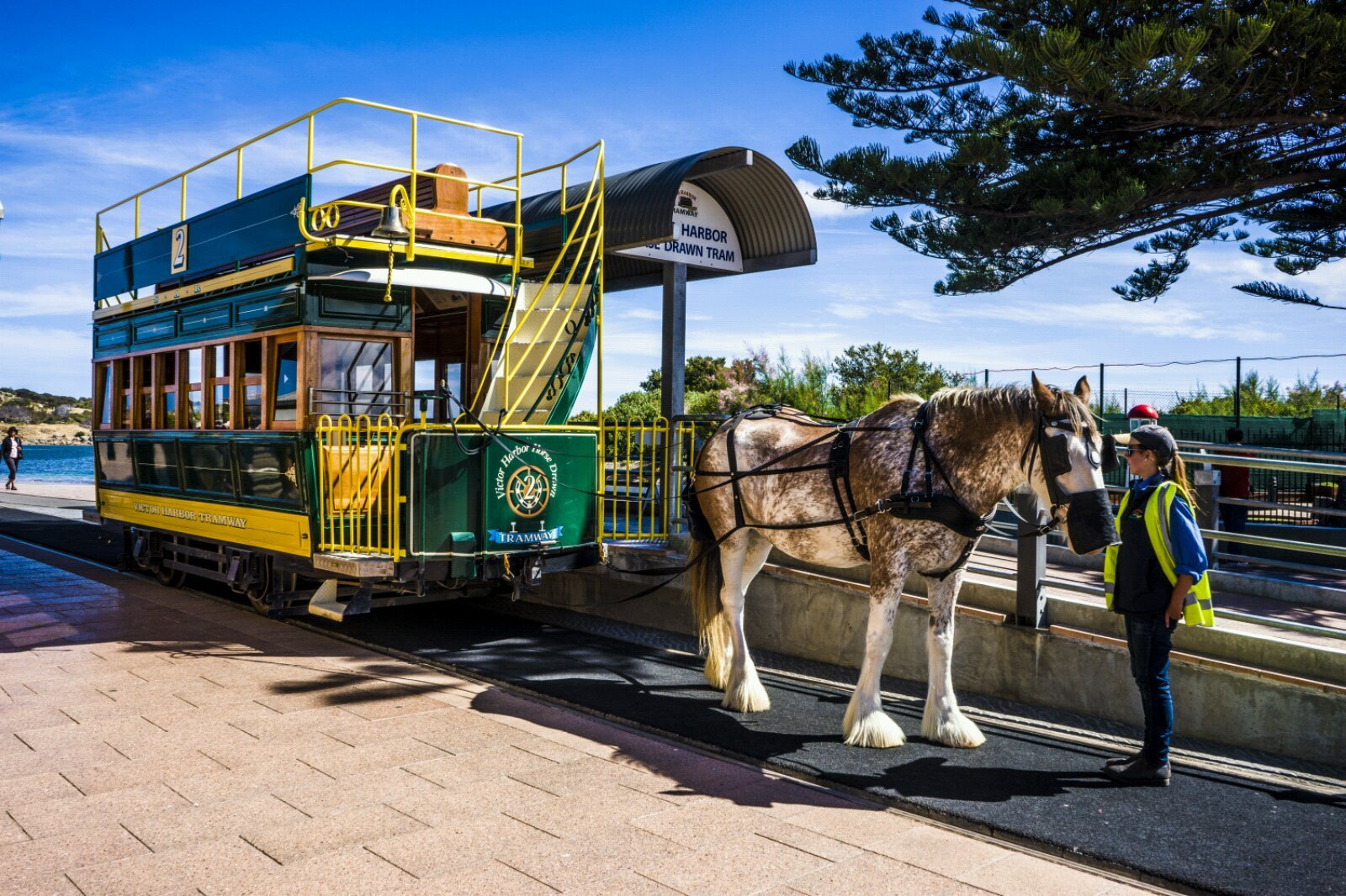 乘坐这样的马车观光绝对是终生难忘的经历.