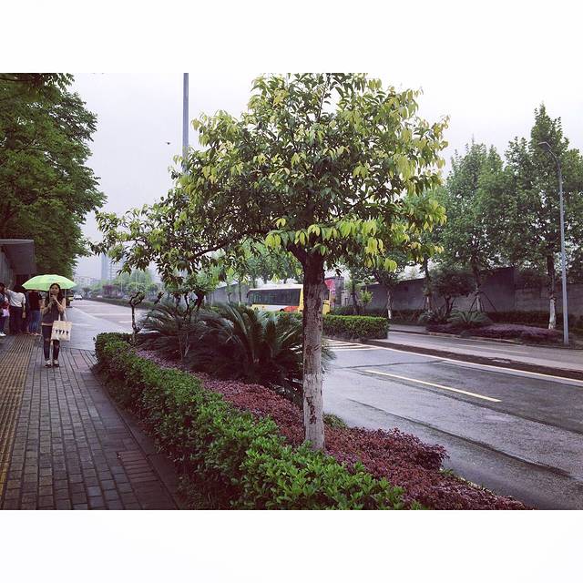 重庆城投国际会议展览中心