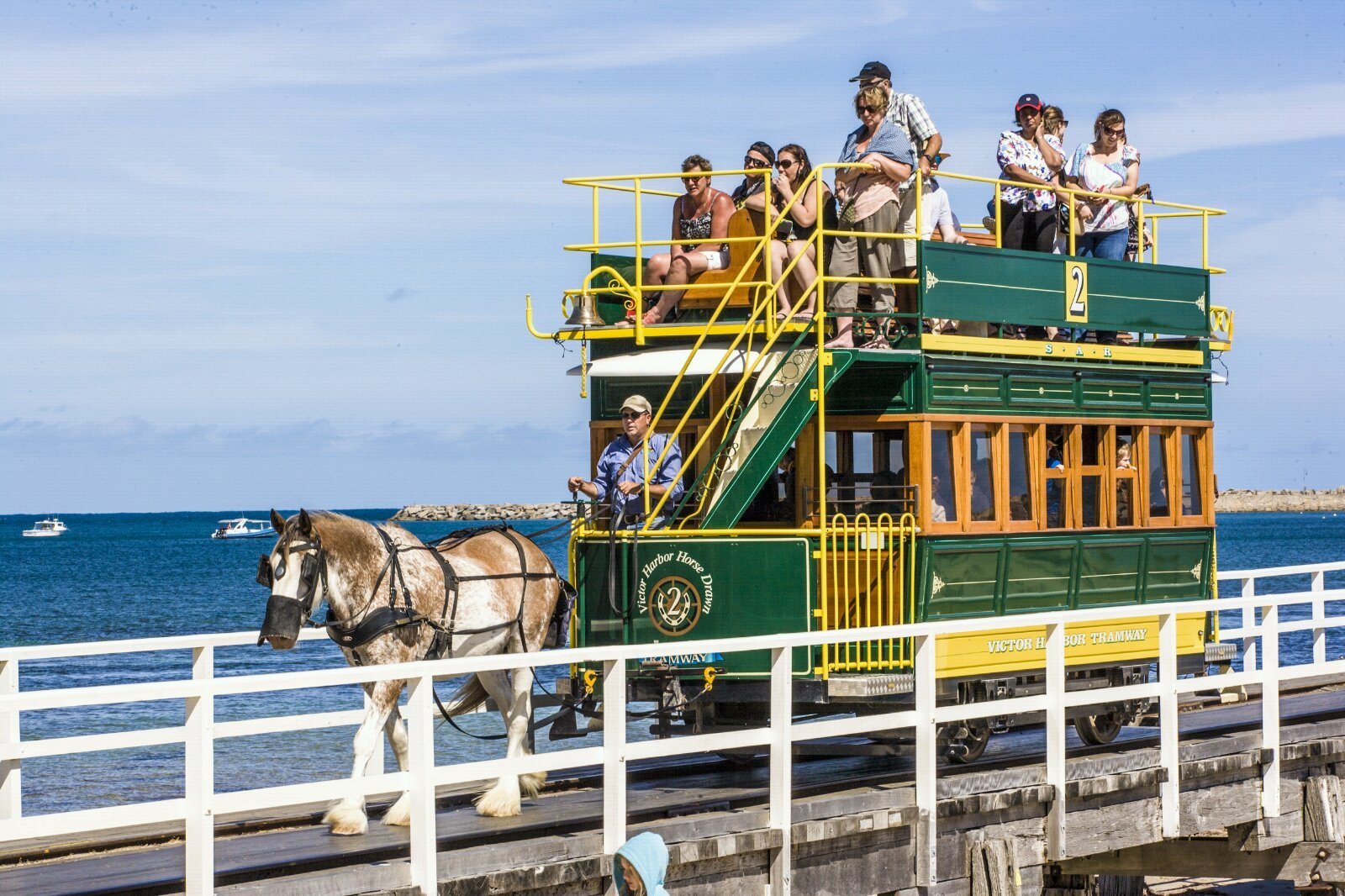 乘坐这样的马车观光绝对是终生难忘的经历.