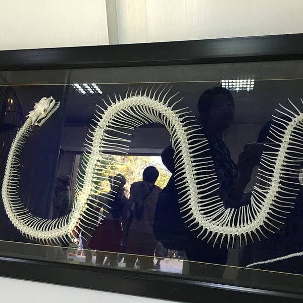 2018呀诺达雨林文化旅游区门票,保亭呀诺达雨