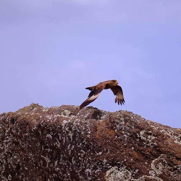 阿胡汤加里基旅游攻略