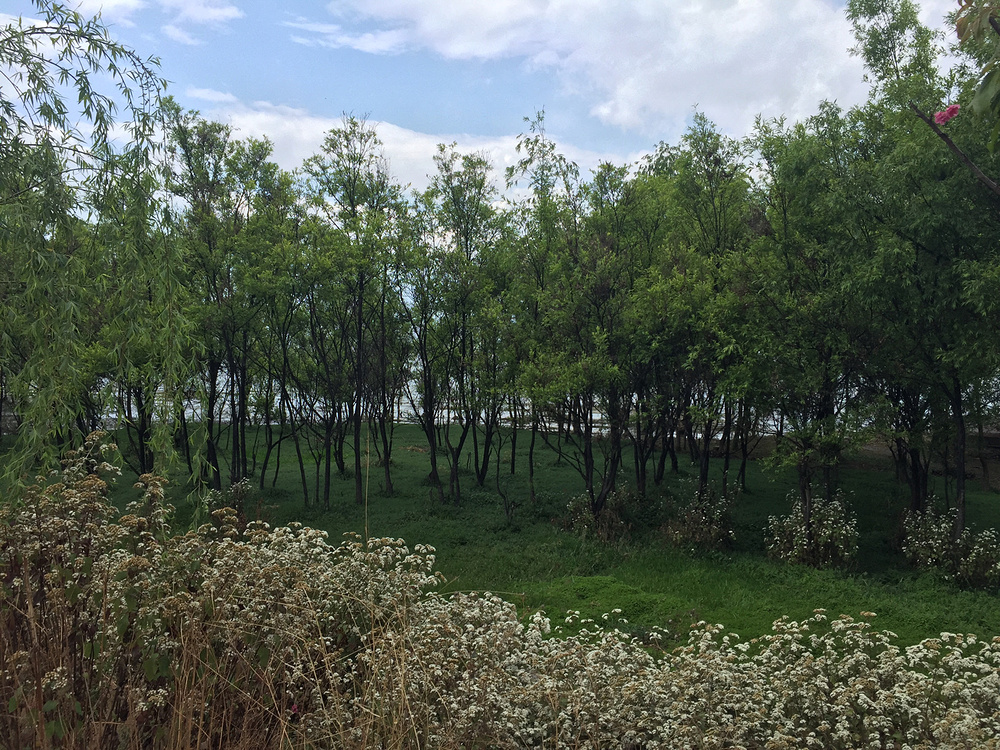 大理双廊洱源3日游