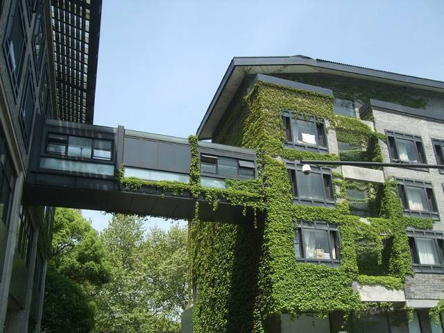 中国美术学院(南山校区)