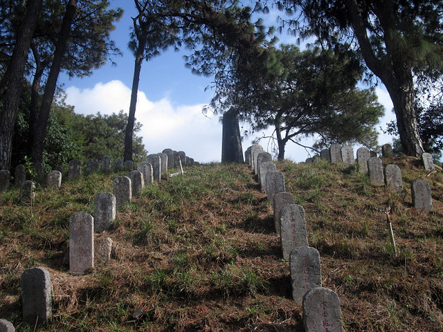 来之前看了凤凰卫视的《七十年的远征》,很震
