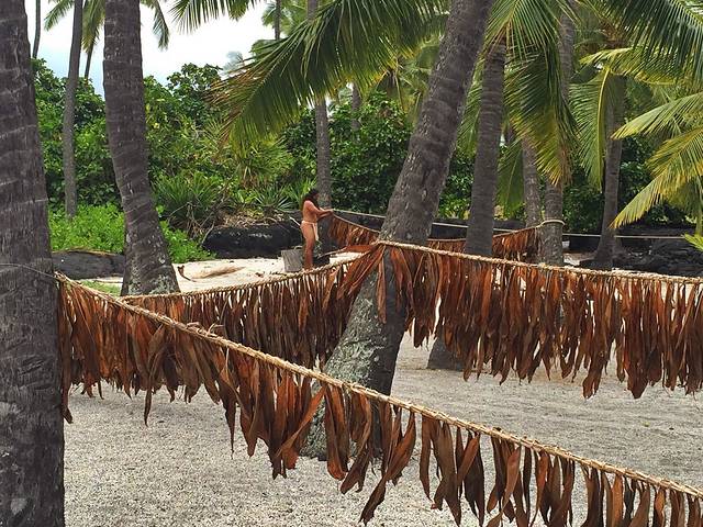 凯阿拉凯库亚海湾州立历史公园