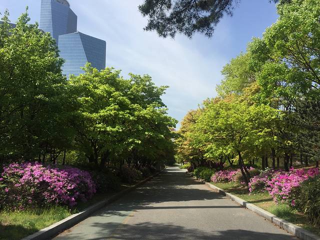 汝矣岛汉江公园