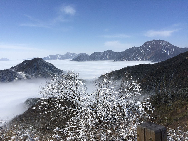 "一路上留下了无数的欢声笑语，好一个银装素裹的世界西岭雪山有连绵起伏的山峰，重重叠叠连接在一起..._西岭雪山"的评论图片