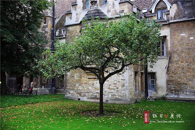 到处都是英伦范-英国的日与夜