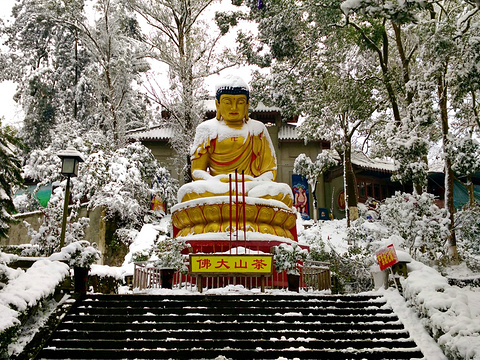 茶山竹海旅游景点图片