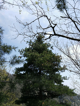 石人山风景名胜区