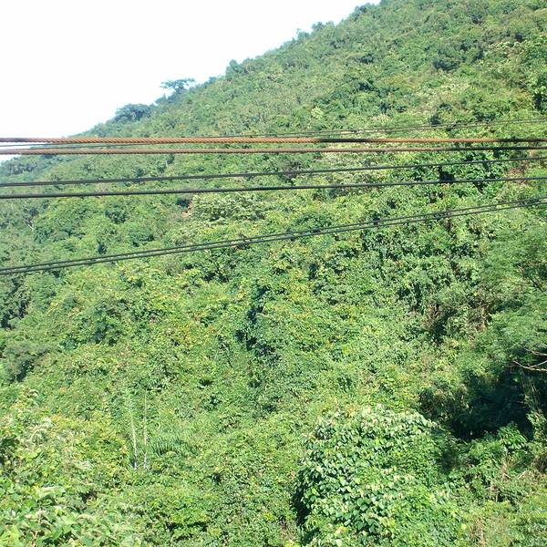 2019槟榔谷门票,三亚槟榔谷游玩攻略,槟榔谷游