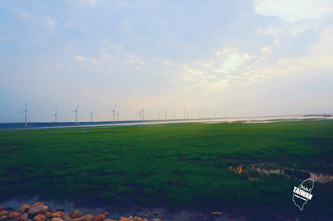 高美湿地旅游景点攻略图