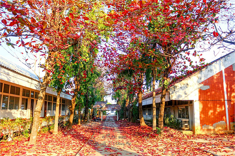 清迈大学旅游景点攻略图