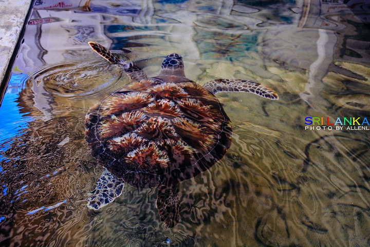 22加勒游玩攻略 加勒交通 住宿 行程 美食 购物攻略 加勒注意事项 实用信息 去哪儿攻略
