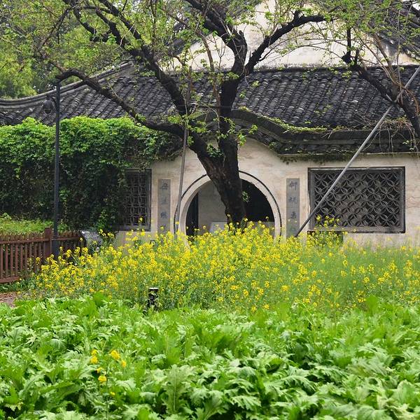 百草园旅游攻略