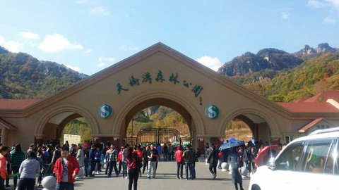 天桥沟国家森林公园旅游景点攻略图