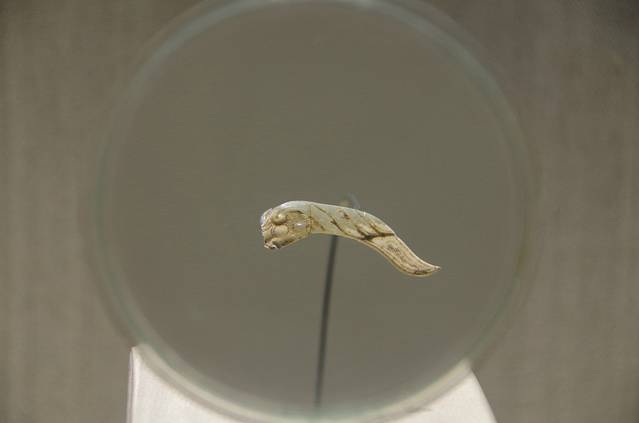 宿迁市博物馆新馆